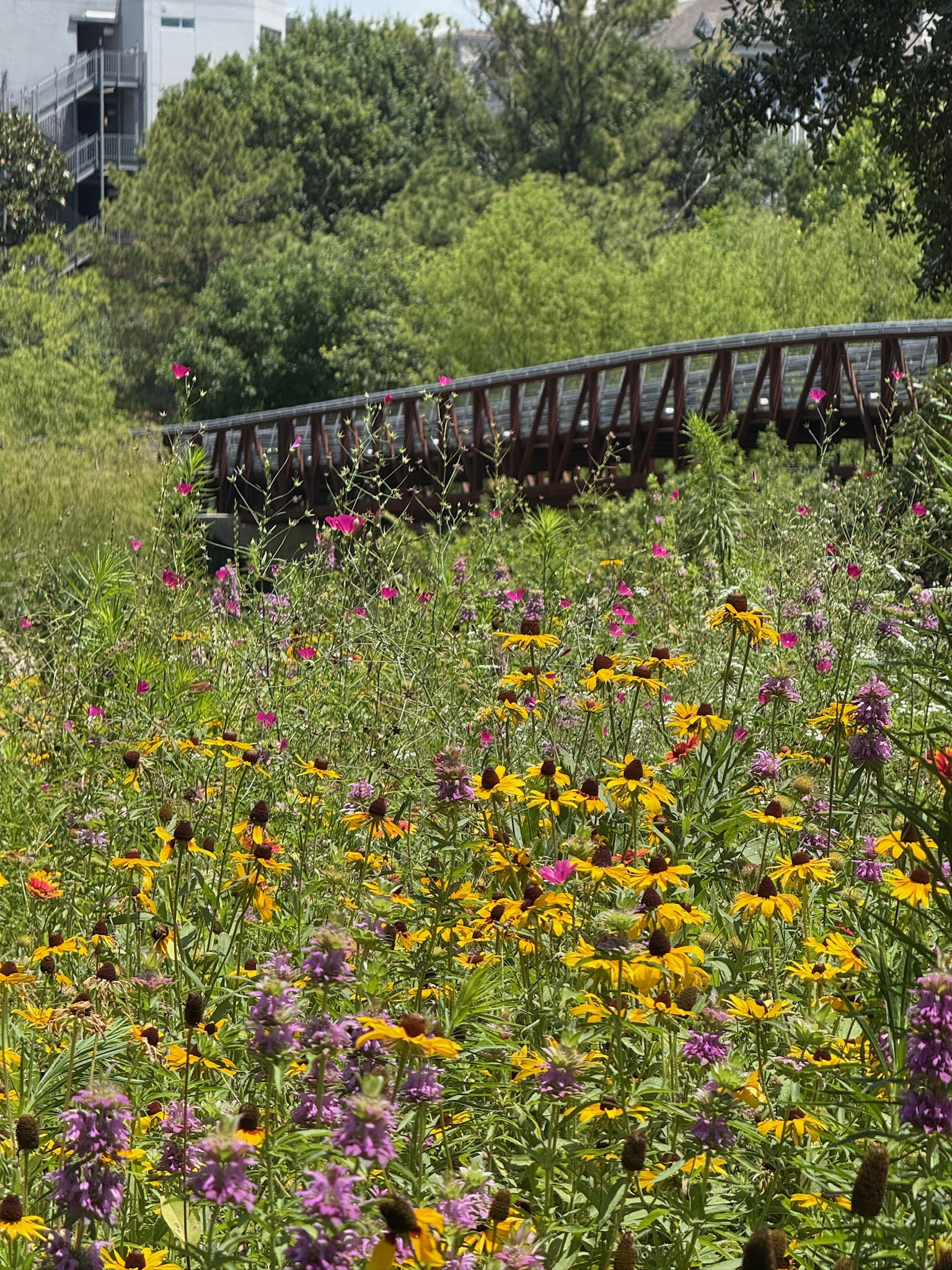 Nature in the East End