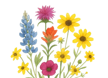 Bayou Blossoms Montessori