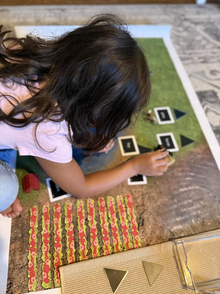 Hands-on learning